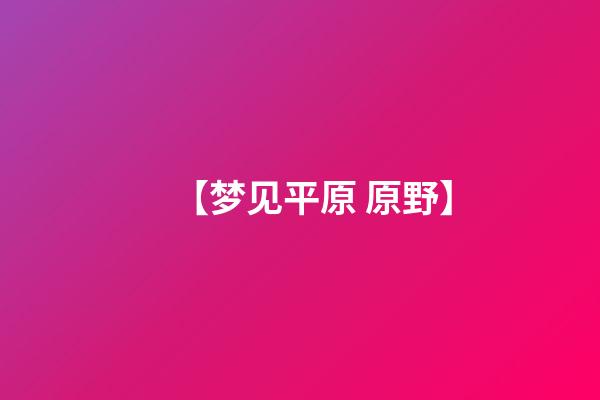 【梦见平原 原野】